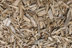biomass boilers Chequertree